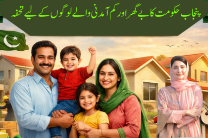 Punjab Government Announces New Housing Scheme for Low-Income Families
