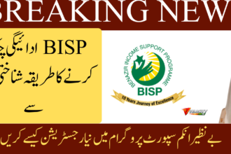 BISP 8171 Apply Online 2026 – Complete Registration Guide