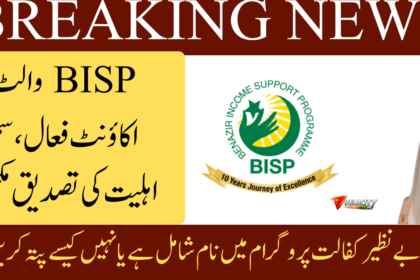 BISP Wallet Account SIM Eligibility Confirmed