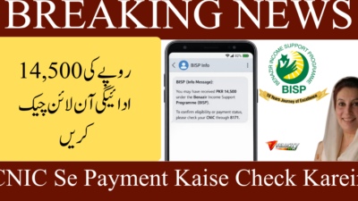 CNIC Se Payment Kaise Check Karein