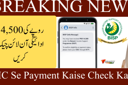 CNIC Se Payment Kaise Check Karein