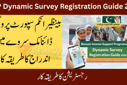 bisp-dynamic-survey-8171-verification-guide