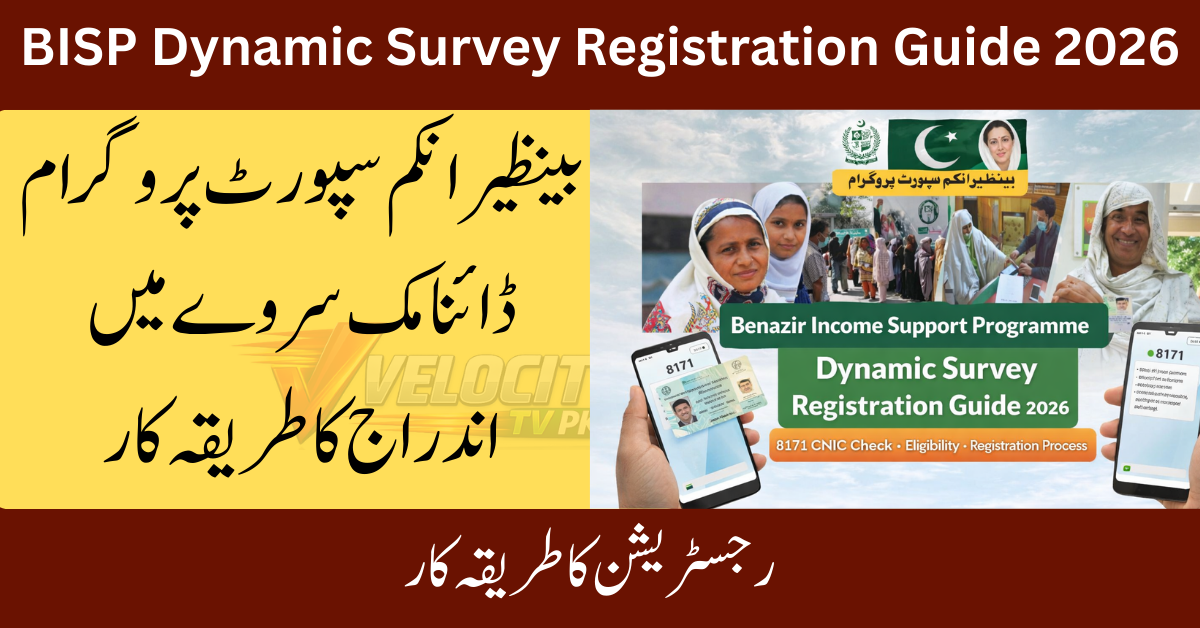bisp-dynamic-survey-8171-verification-guide