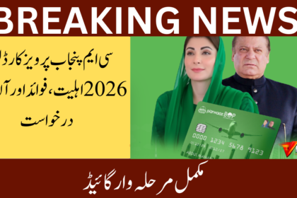 CM Punjab Parwaz Card 2026 Apply Online