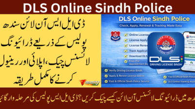 dls-online-sindh-police-guide-for-check-apply-renewal-tracking