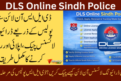 dls-online-sindh-police-guide-for-check-apply-renewal-tracking