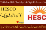 hesco-online-bill-check-by-14-digit-reference-number