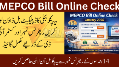 mepco-bill-check-by-reference-number