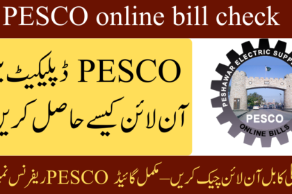 pesco-online-bill-check-by-14-digit-number-duplicate-bill-download