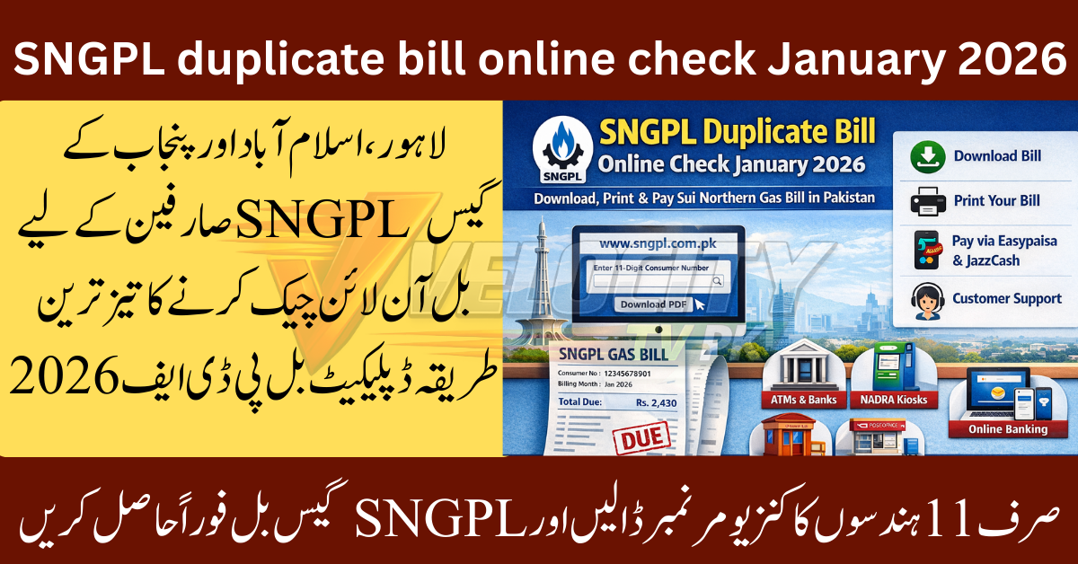 sngpl-duplicate-bill-online-check-january-2026