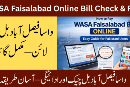wasa-faisalabad-online-bill-check-duplicate-water-bill