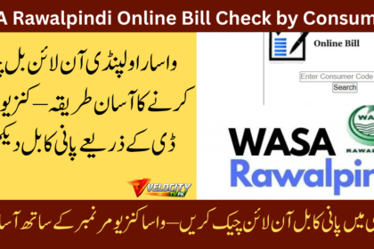 wasa-rawalpindi-online-bill-check-by-consumer-id