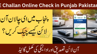 E-Challan-Online-Check-in-Punjab-Pakistan