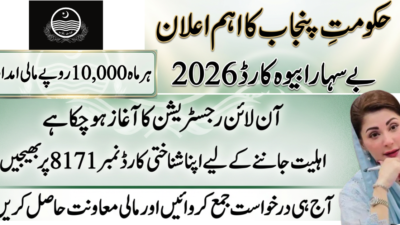 How to Apply for CM Punjab Bewa Sahara Card Online – Complete 2026 Guide