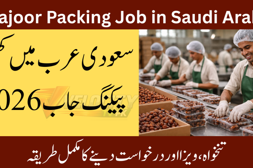 Khajoor Packing Job in Saudi Arabia