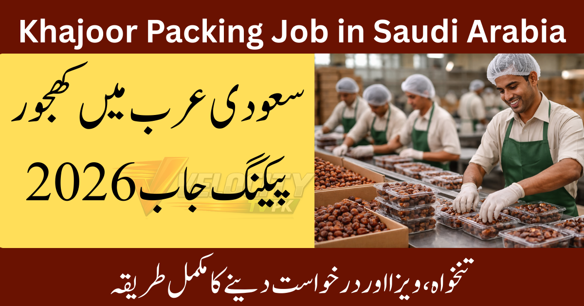 Khajoor Packing Job in Saudi Arabia