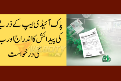 Online Birth Registration