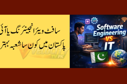 Software Engineering vs IT – Which Is Better in Pakistan?